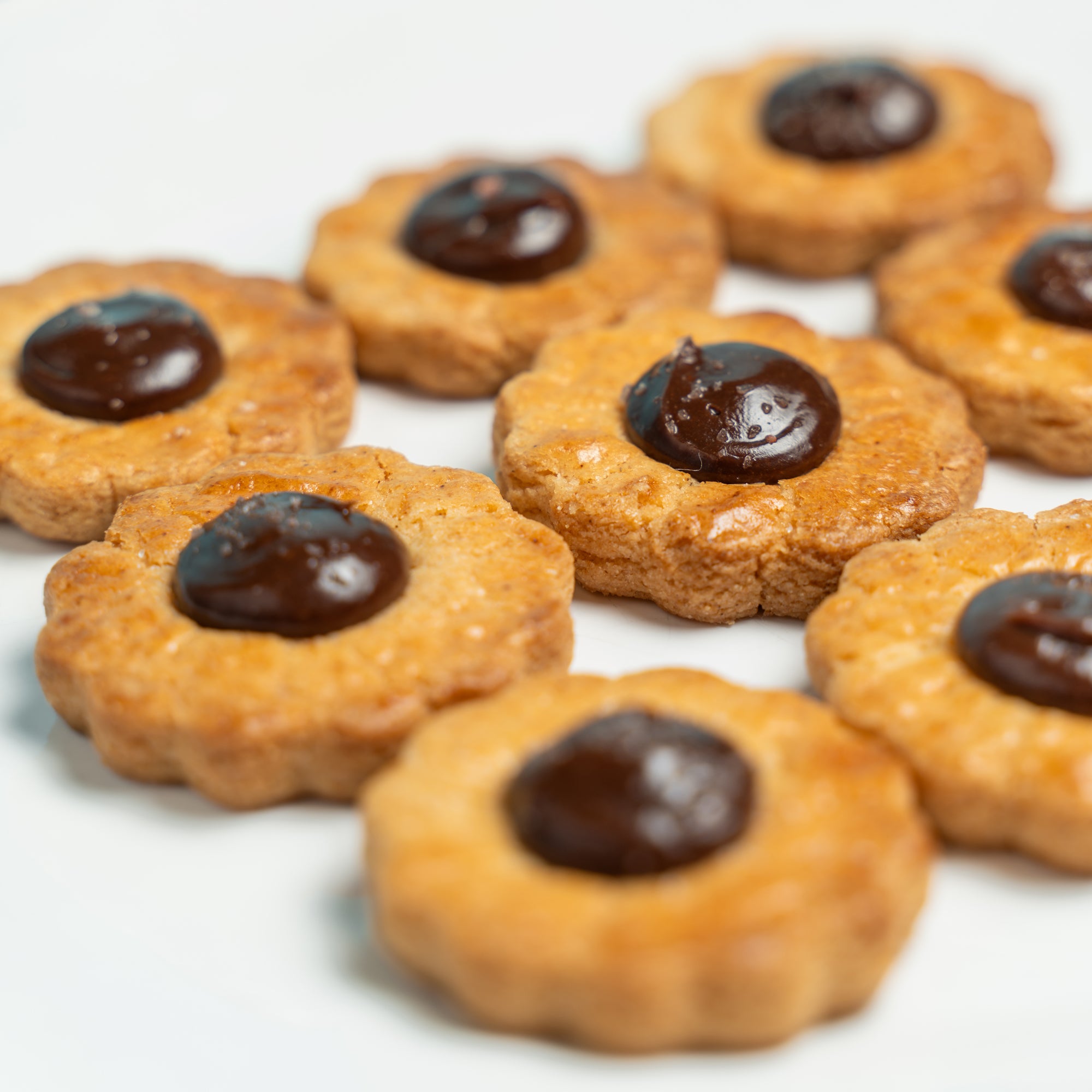 【夏限定】オレンジ&コーヒーのパウンドケーキとクッキーセット